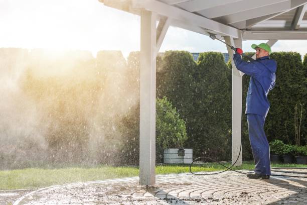 Best Fence Cleaning  in Web, AL